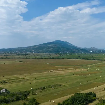 Country Side Mila Kricke