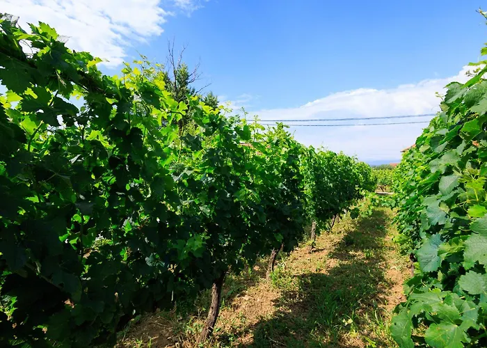 Country Side Mila Vikendica *